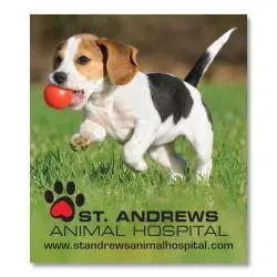 3.5x4 Inch Die-Cut Magnets