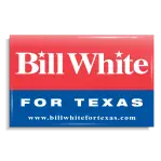 Sample22_Political-29