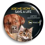 Sample33_ArtandOrgs-38