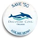 Sample4_RetailandSales-08