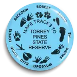 Sample14_ArtandOrgs-18