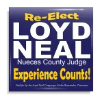 Sample13_Political-19