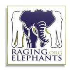 Sample12_ArtandOrgs-16